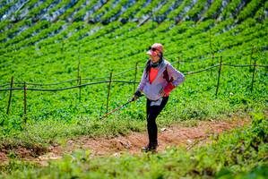 BIB: 
                            <button type="button" onclick="openModal(19164208)" class="btn btn-primary btn-sm float-right btn-popup" data-toggle="modal" data-target=".modal-high-quality">
                        <i class="fas fa-shopping-cart"></i> Add to Cart
                    </button>
                                            <button type="button" onclick="isThisMe(19164208, true)" class="btn btn-success btn-sm float-right btn-popup btn-isme hidden" data-toggle="tooltip" data-placement="bottom" title="นี่คือรูปของคุณใช่ไหม คลิกที่นี่เพื่อเอาเข้าอัลบั้ม">
                        <i class="fas fa-plus"></i> Add to album
                    </button>
                    <button type="button" onclick="isThisMe(19164208, false)" class="btn btn-warning btn-sm float-right btn-popup btn-isnotme hidden">
                        <i class="fas fa-ban"></i> Remove from album
                    </button>